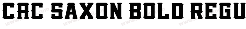 CAC Saxon Bold Regul字体转换